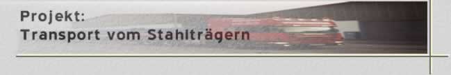 Projektbeschreibung: Transport von Nagelbindern
